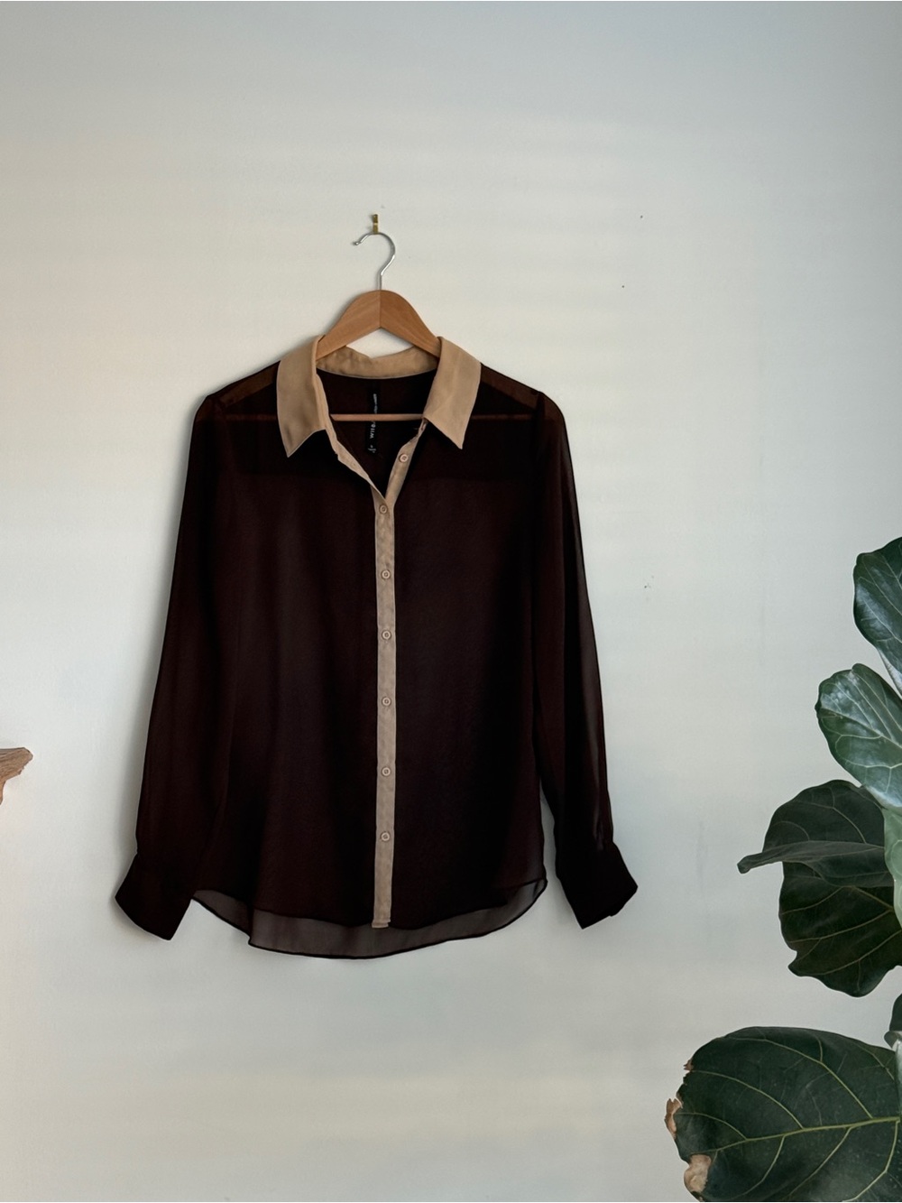 Walter baker sheer blouse